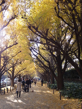 DSC00009