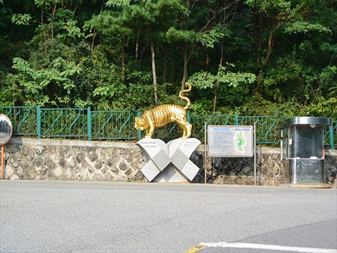 resize0301 写真: resize0301