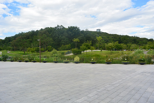 resize0398 写真: resize0398