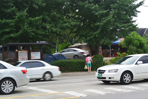 resize0469 写真: resize0469