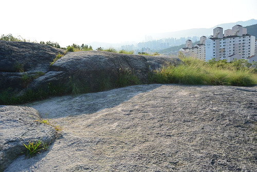 resize0569 写真: resize0569