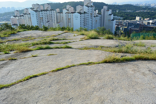 resize0572 写真: resize0572