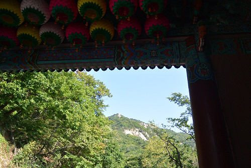 resize0622 写真: resize0622