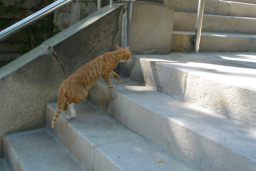 resize0652 写真: resize0652