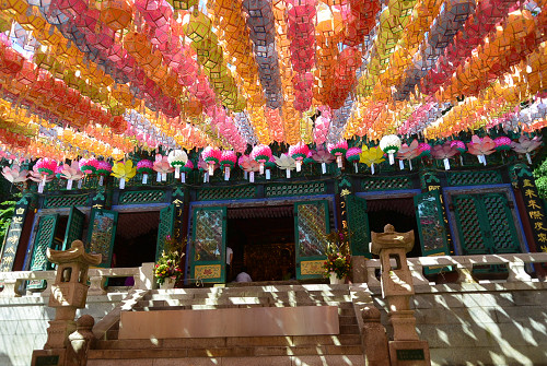 resize0662 写真: resize0662