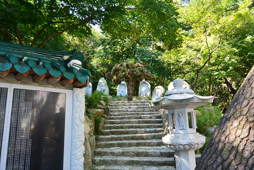 resize0676 写真: resize0676