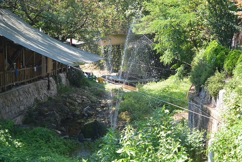 resize0719 写真: resize0719