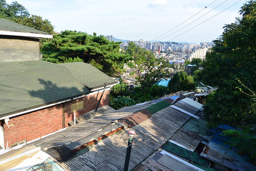 resize0828 写真: resize0828