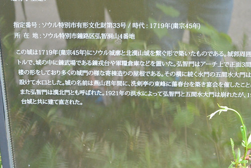 resize0864 写真: resize0864