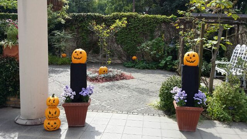 resize0952 写真: resize0952