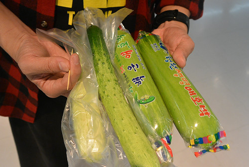 resize1044 写真: resize1044