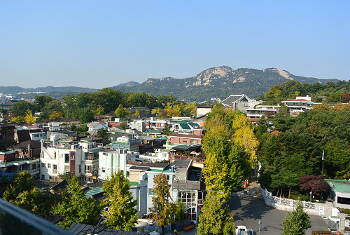 resize1069 写真: resize1069
