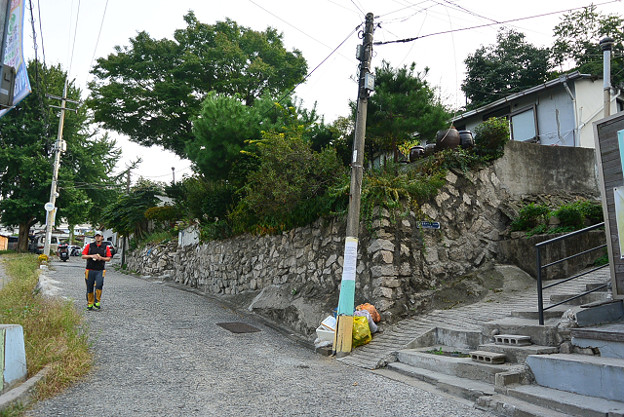 resize4419 写真: resize4419