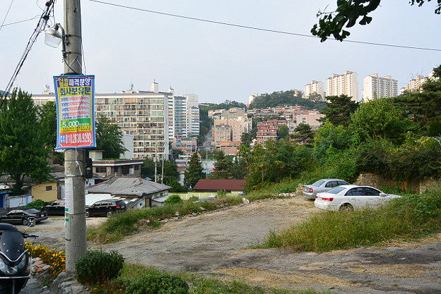 resize4420 写真: resize4420
