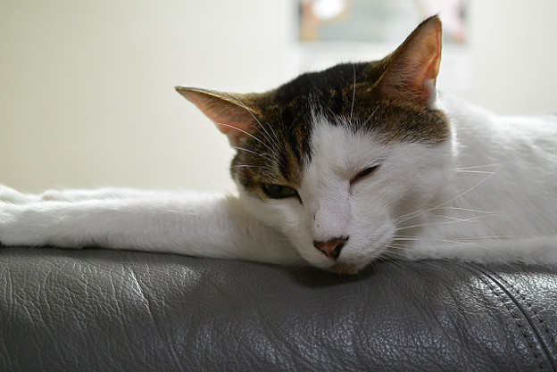 resize3592 写真: resize3592