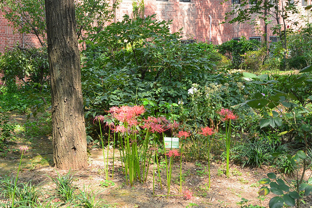 resize4620 写真: resize4620