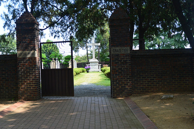 resize4623 写真: resize4623