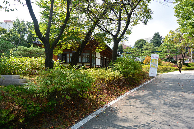 resize4628 写真: resize4628