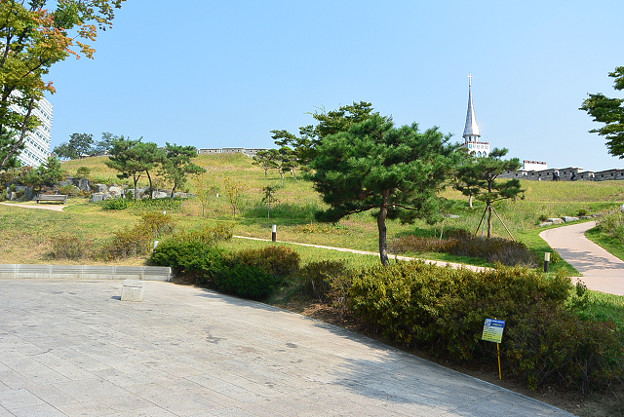 resize4809 写真: resize4809