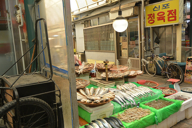 resize4839 写真: resize4839