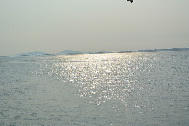 resize4908 写真: resize4908