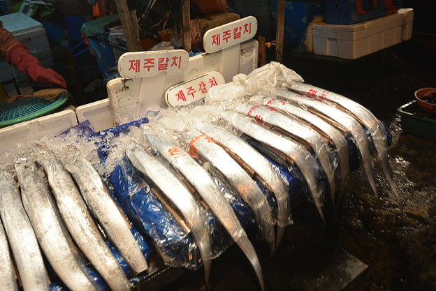 resize5248 写真: resize5248