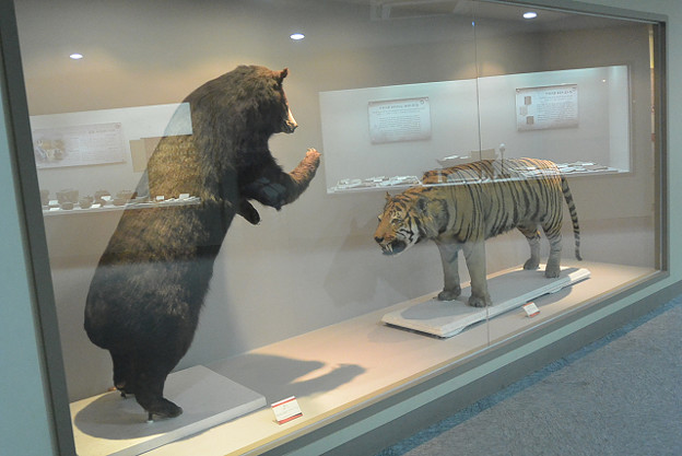 resize5514 写真: resize5514