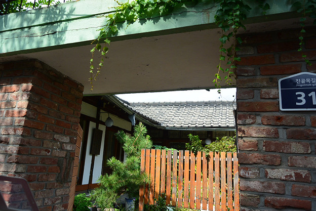 resize5524 写真: resize5524