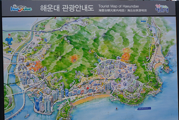 resize5627 写真: resize5627
