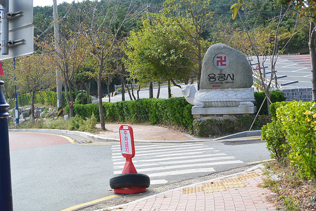 resize5653 写真: resize5653