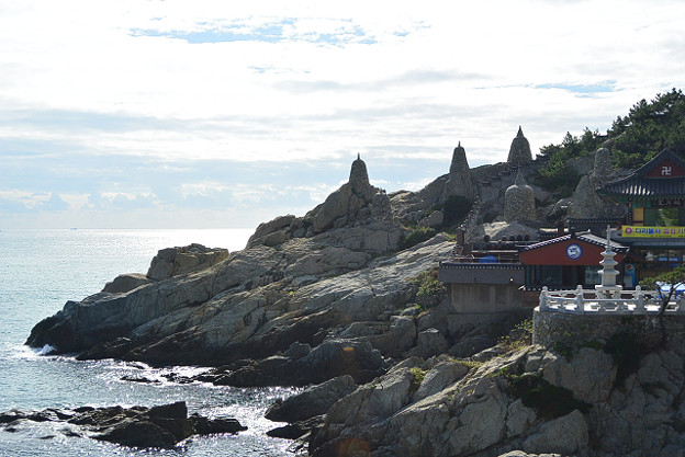resize5683 写真: resize5683