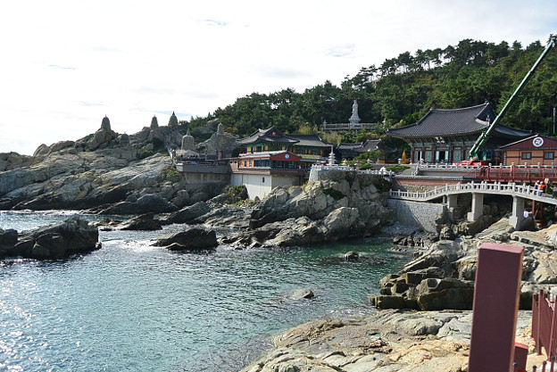 resize5687 写真: resize5687