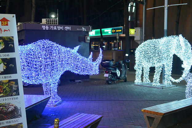 resize7562 写真: resize7562