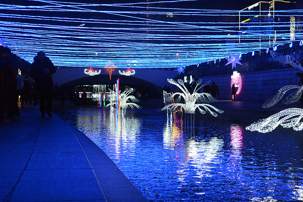 resize7567 写真: resize7567