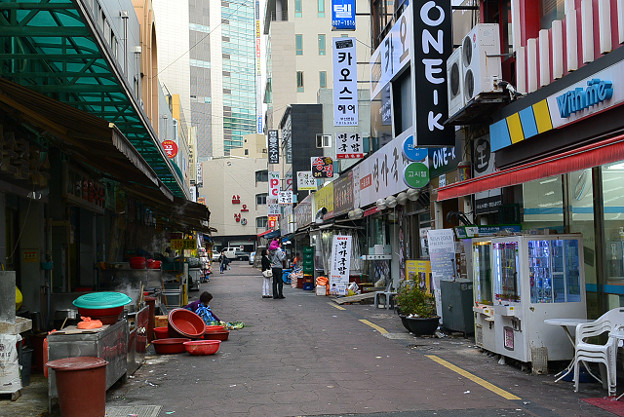 resize6247 写真: resize6247