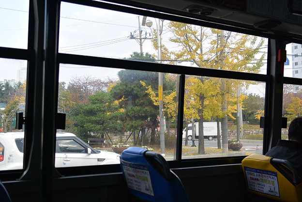 resize6270 写真: resize6270