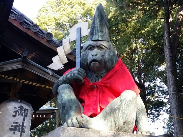 1451455702321 写真: 1451455702321