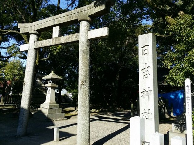 1451455913691 写真: 1451455913691