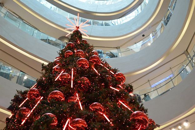resize6355 写真: resize6355