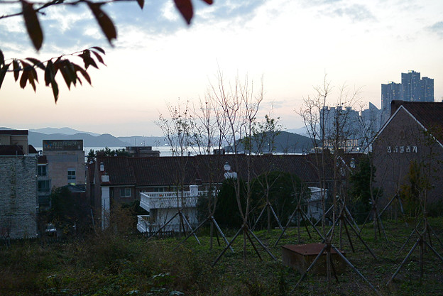 resize6453 写真: resize6453