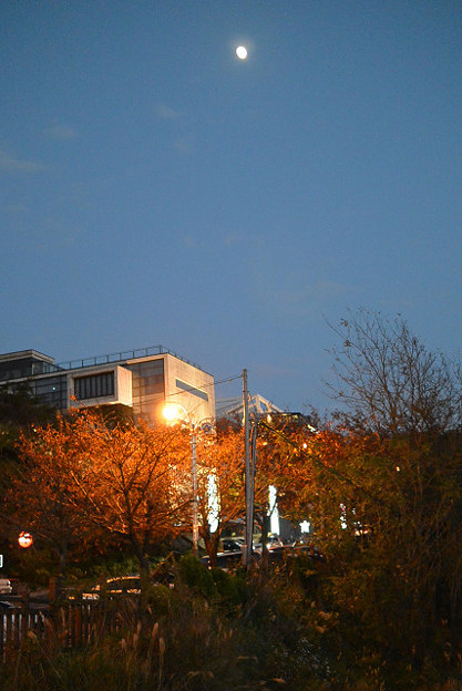 resize6465 写真: resize6465