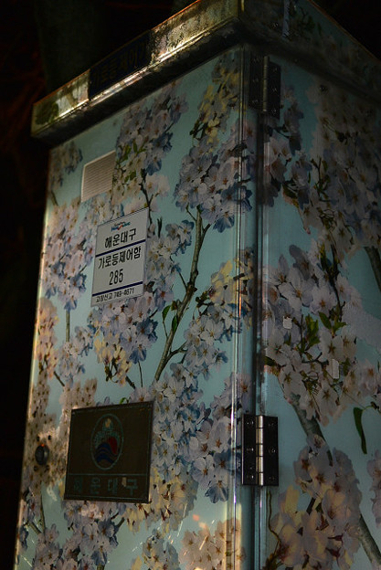 resize6472 写真: resize6472