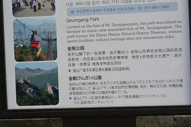 resize6569 写真: resize6569