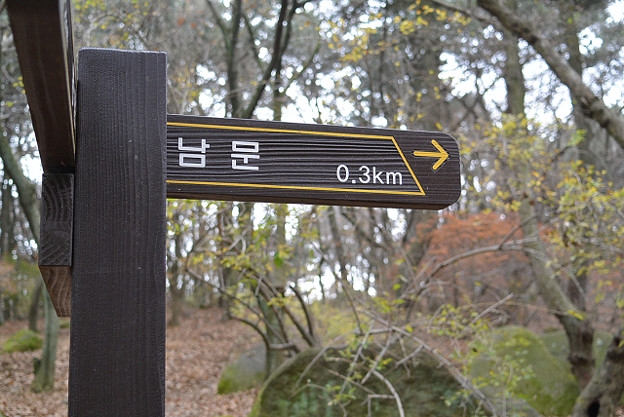 resize6611 写真: resize6611