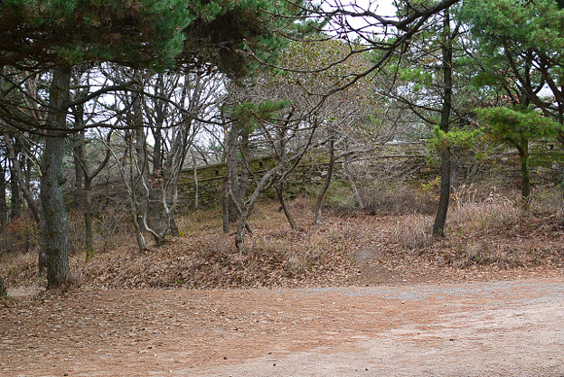 resize6615 写真: resize6615