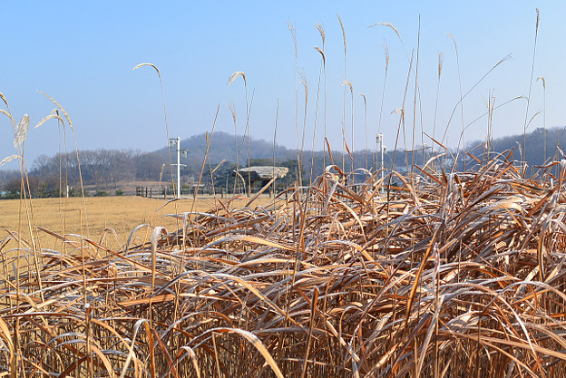 resize6759 写真: resize6759