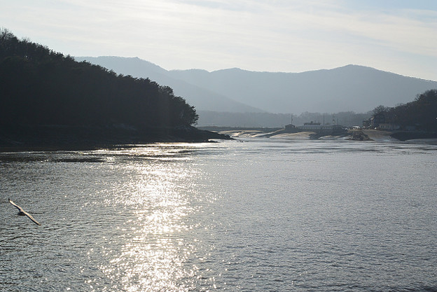 resize6877 写真: resize6877