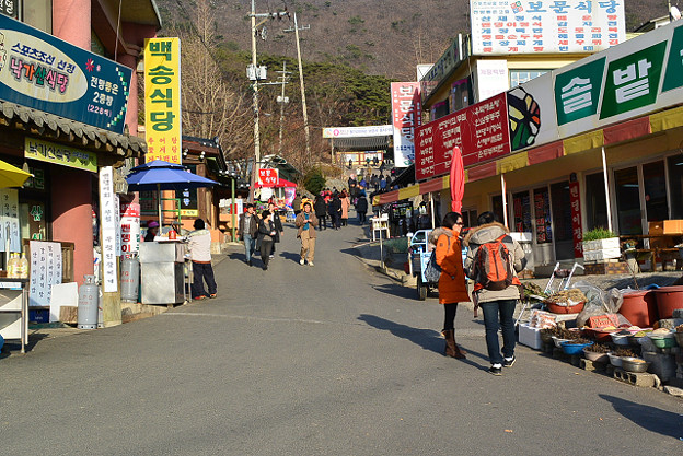 resize7229 写真: resize7229