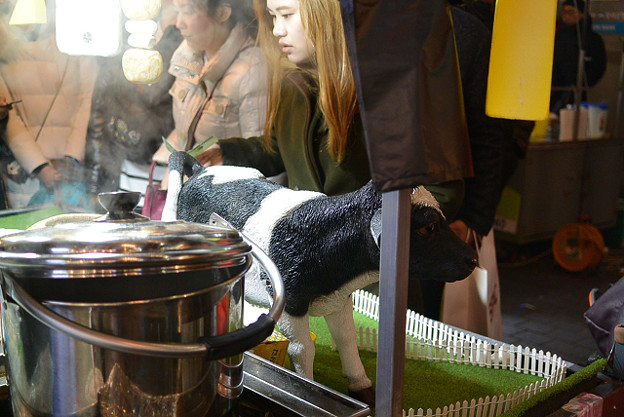 resize6981 写真: resize6981