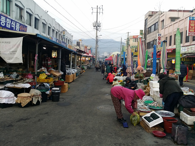 resize7793 写真: resize7793